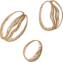 Illustration Kaffeebohnen